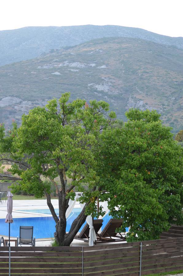 Hotel apartamentowy Aligis Kateleios